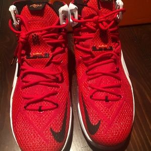 Lebron 12 “Heart of the Lion” Edition